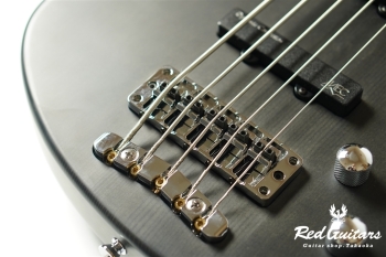 RockBass STREAMER LX 5